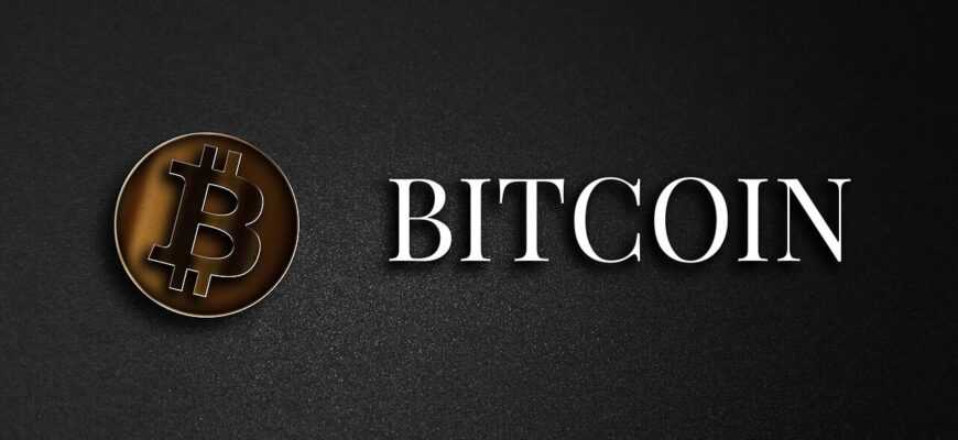 bitcoin, cryptocurrency, electronic money, gold, money, coin, currency, digital money, the internet currency, bitcoin, bitcoin, bitcoin, bitcoin, bitcoin, cryptocurrency, cryptocurrency