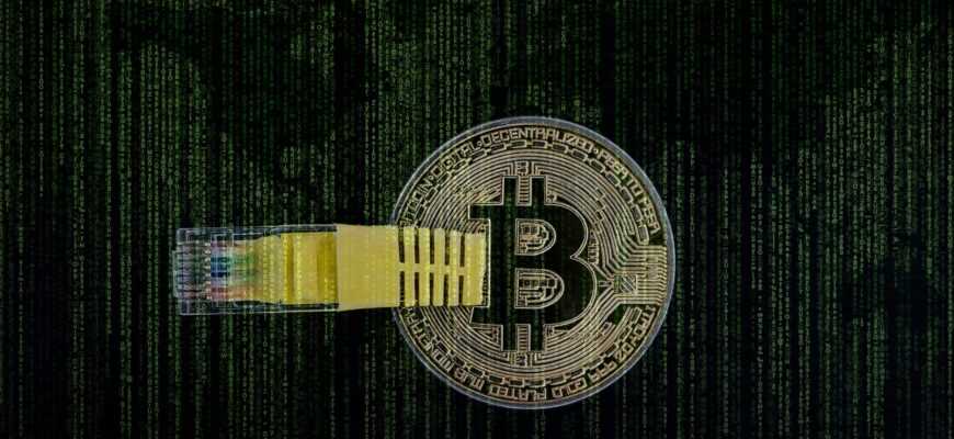 cryptocurrency, money, bitcoin