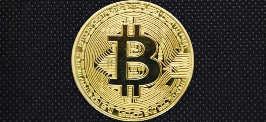 bitcoin, blockchain, currency, coin, gold, bitcoin business, bitcoin icon, safety, bitcoin wallet, bank, business, cash, bit, trade, conceptual, exchange, cryptocurrency, bitcoin, bitcoin, bitcoin, bitcoin, bitcoin