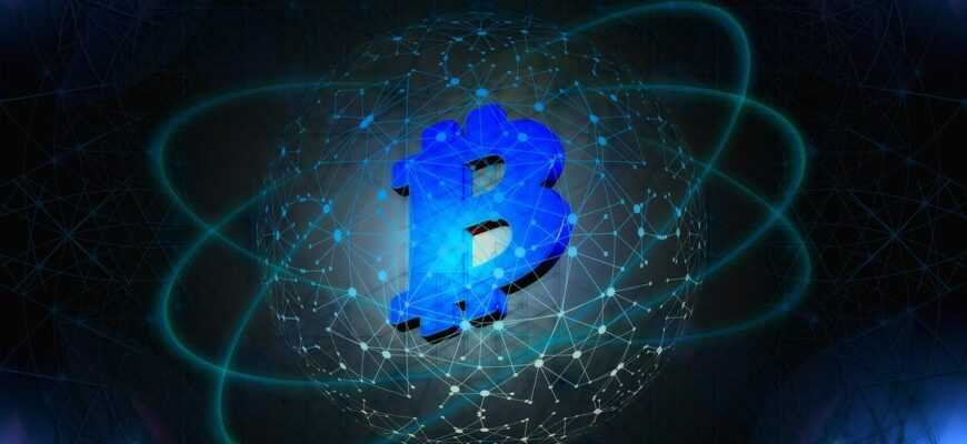 bitcoin, investment, digital, network, currency, cryptocurrency, money, technology, bitcoin, bitcoin, bitcoin, bitcoin, bitcoin, cryptocurrency, cryptocurrency