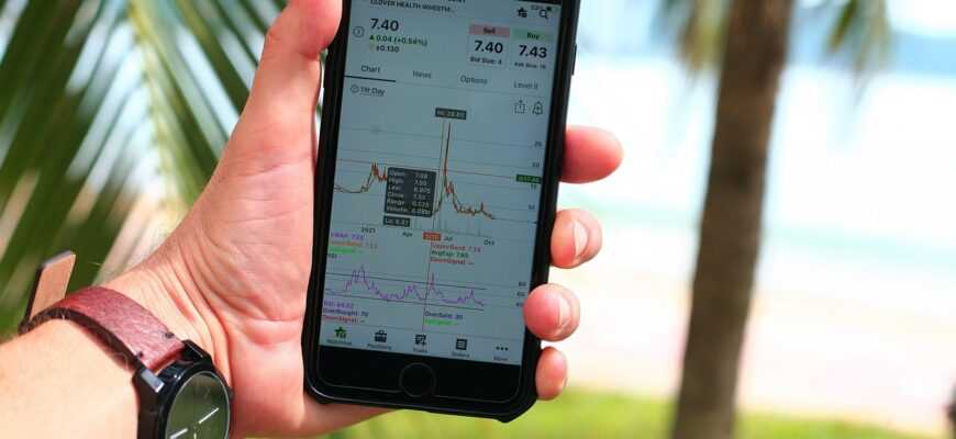 stock market, investment, gains, volatility, trading, investing, profit, stock market, stock market, stock market, volatility, volatility, volatility, volatility, volatility