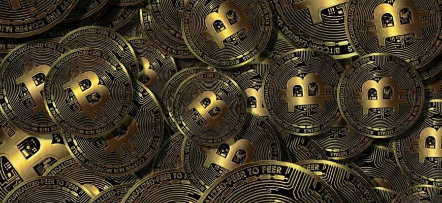 bitcoin, stock exchange, profit, share, cryptocurrency, currency, money, bitcoin, bitcoin, bitcoin, bitcoin, bitcoin, cryptocurrency