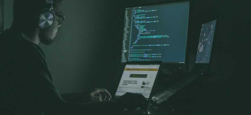 person using laptop computers